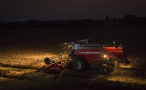 MF7344 ACTIVE Combine Working Wheat Italy Oct 2015 303 127377