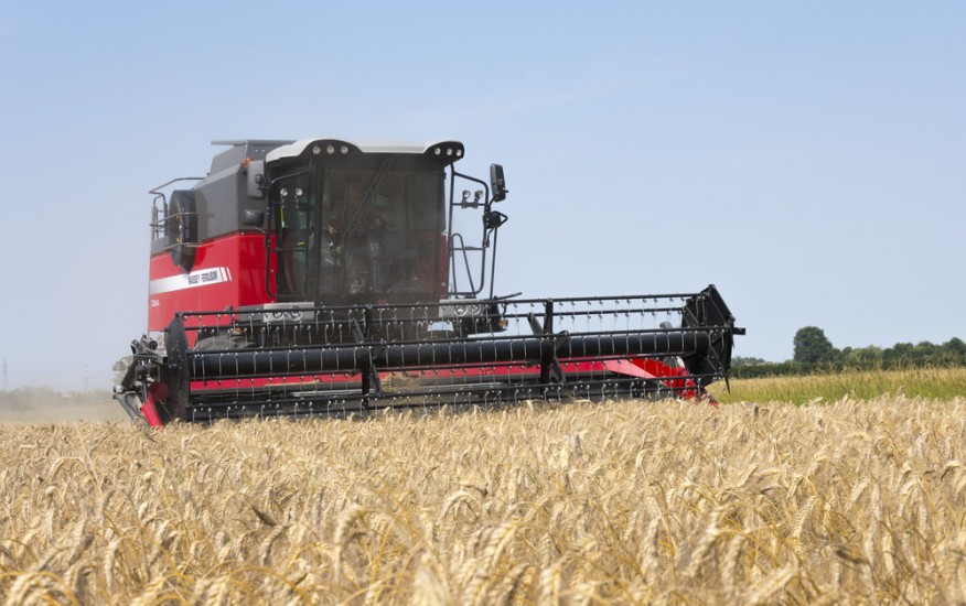 MF7344 ACTIVE Combine Working Wheat Italy Oct 2015 3 127376