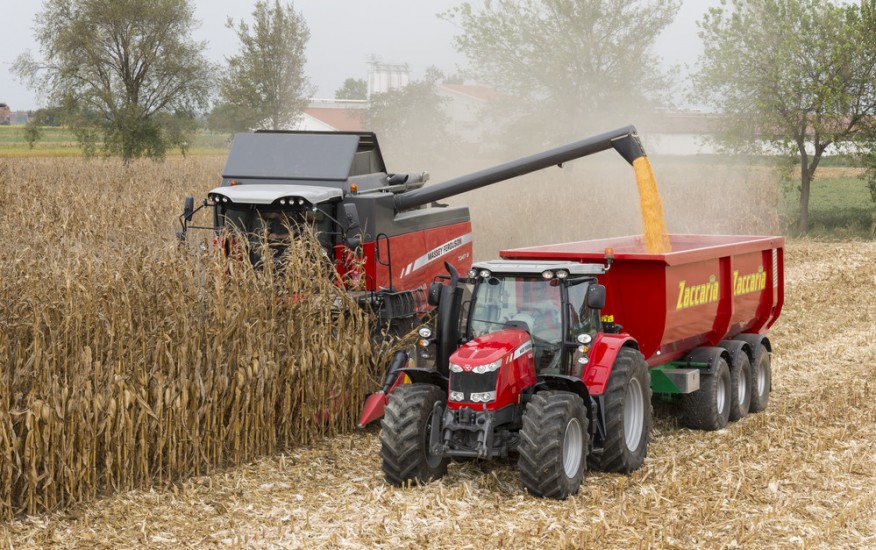 MF7347S ACTIVA Combine Working Maize Italy Oct 2015 2495 127394
